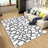 Living Room Designer Carpets - Black and White