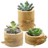 Candle Holders -  Vintage Wood Stove Succulents Home Decor Candle Stove