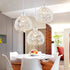 # Light and Fitting- Pendent Lights